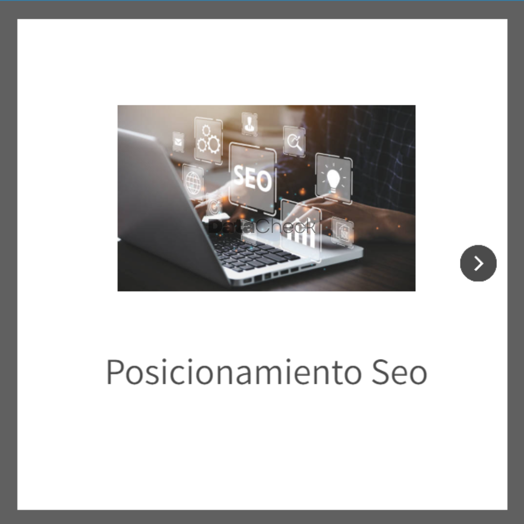 Posicionaiento Seo